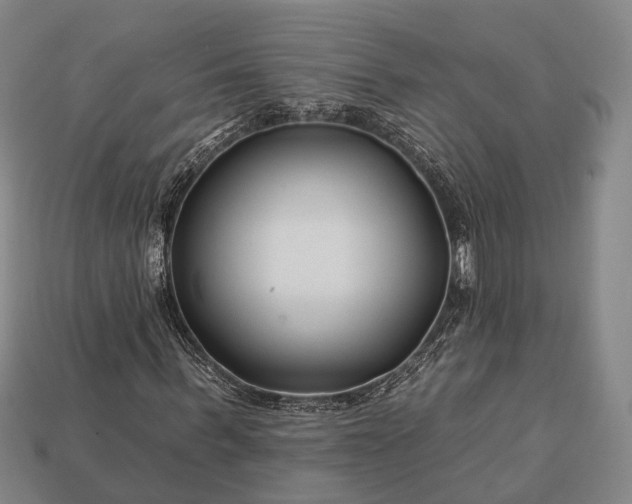 X0000112930963200909071030