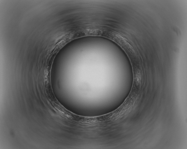 X0000112930964200909071030