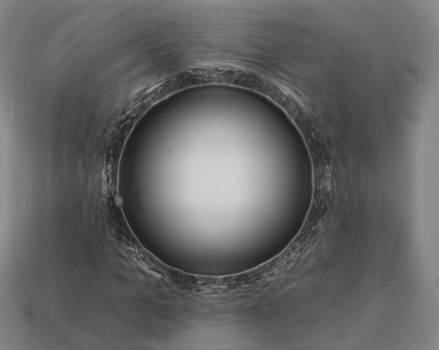 X0000112930965200909071030