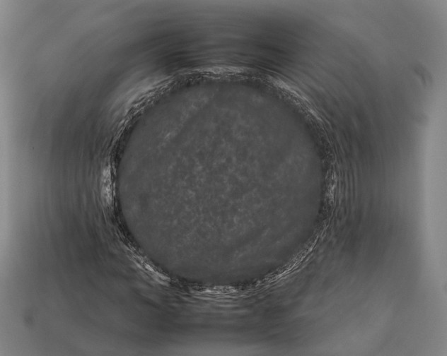 X0000112930966200909071030