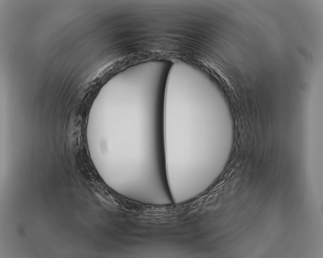 X0000112930968200909071030