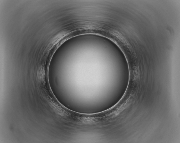 X0000112930969200909071030