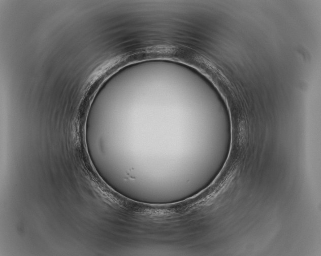 X0000112930970200909071030