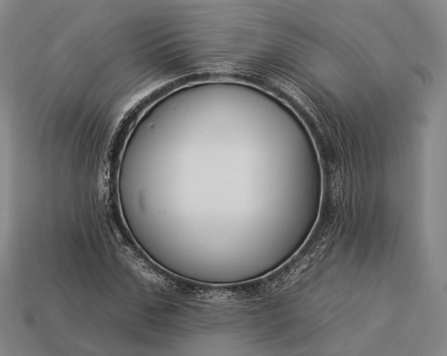 X0000112930971200909071030