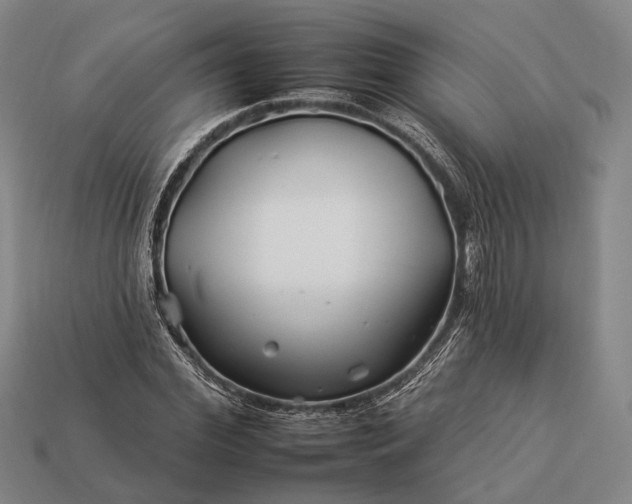 X0000112930972200909071030