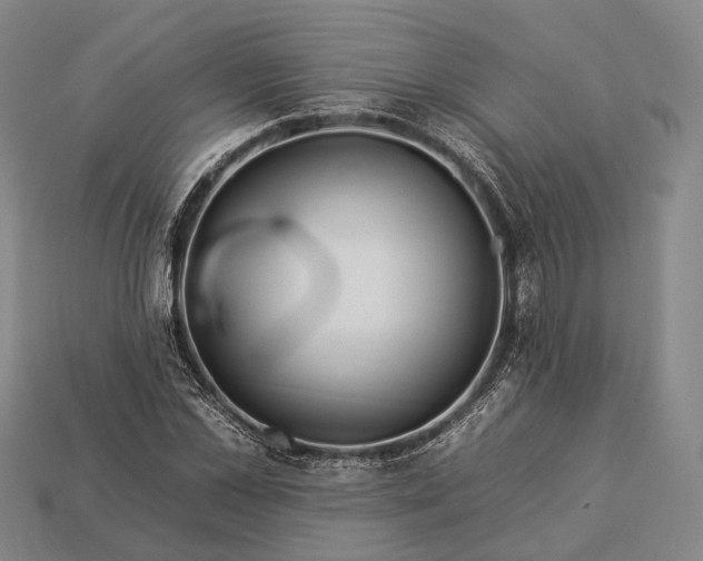 X0000112930973200909071030