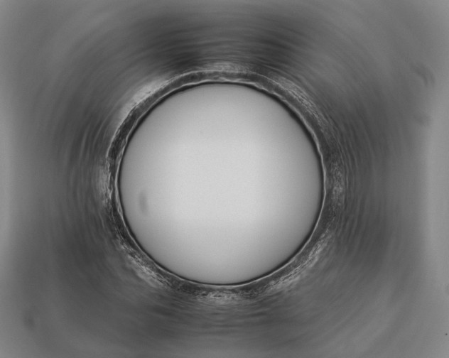 X0000112930974200909071030