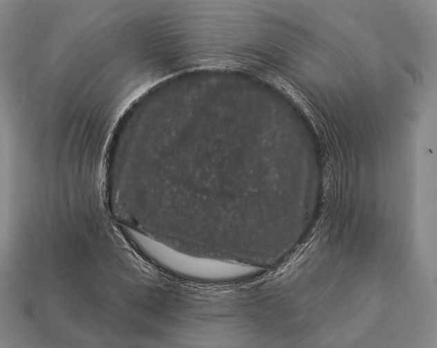 X0000112930975200909071030