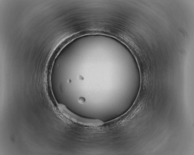 X0000112930976200909071030