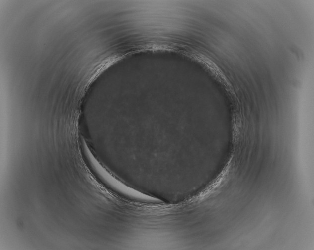 X0000112930977200909071030