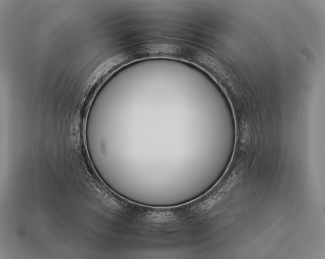 X0000112930978200909071029