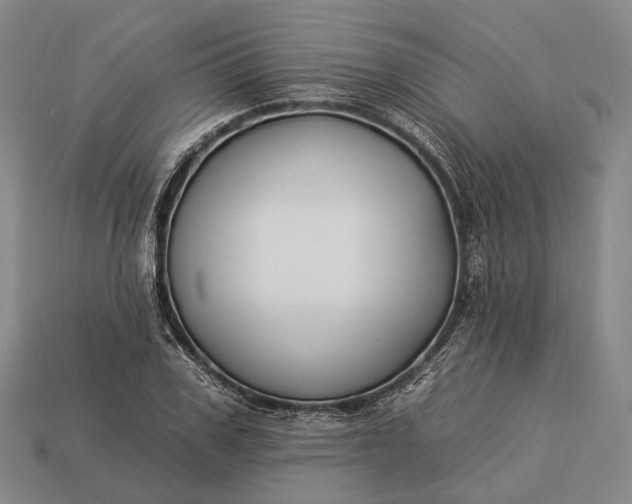 X0000112930979200909071029