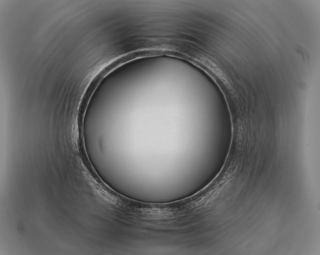 X0000112930980200909071029