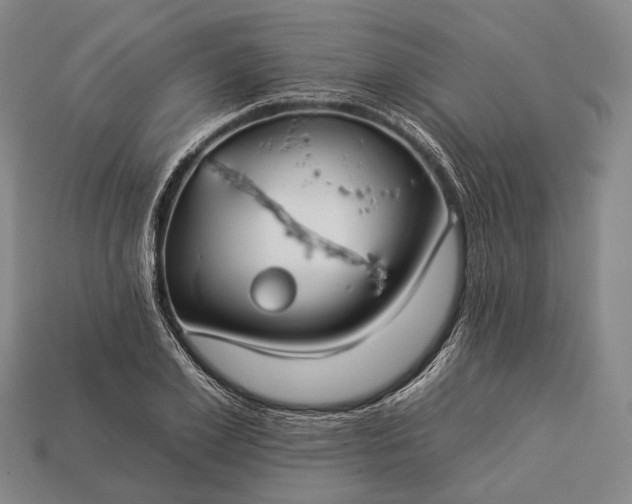 X0000112930981200909071029