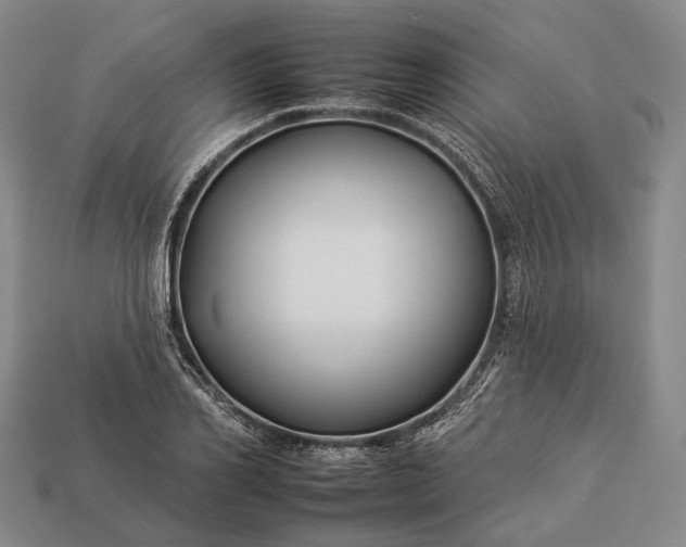 X0000112930982200909071029