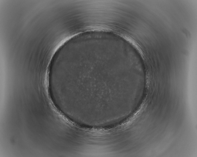 X0000112930983200909071029