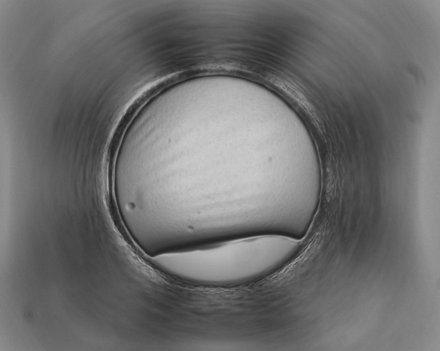 X0000112930984200909071029