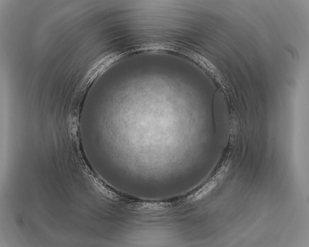 X0000112930985200909071029