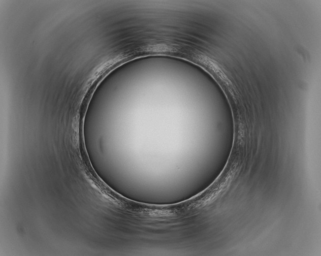 X0000112930986200909071029