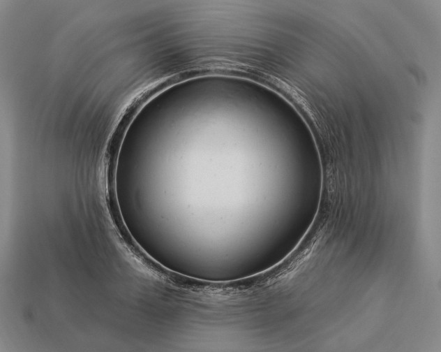 X0000112930987200909071029