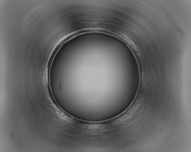 X0000112930988200909071029