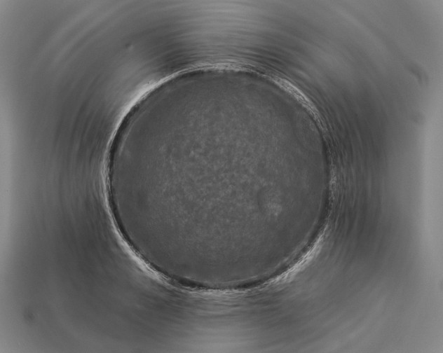 X0000112930989200909071029