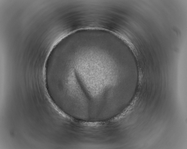 X0000112930990200909071029