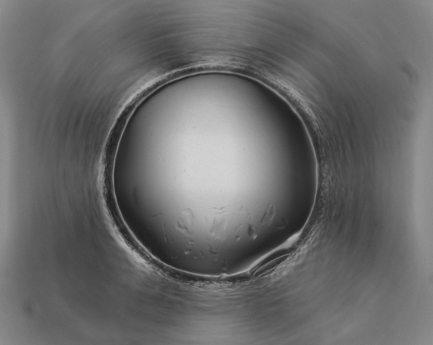 X0000112930991200909071029