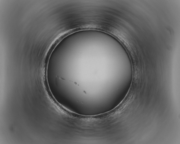 X0000112930992200909071029