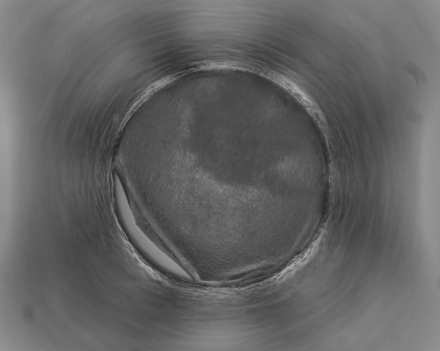 X0000112930993200909071029