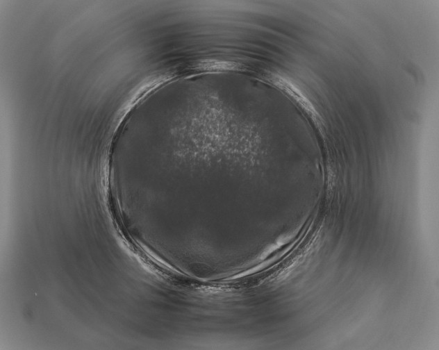 X0000112930994200909071029