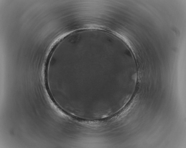 X0000112930995200909071029