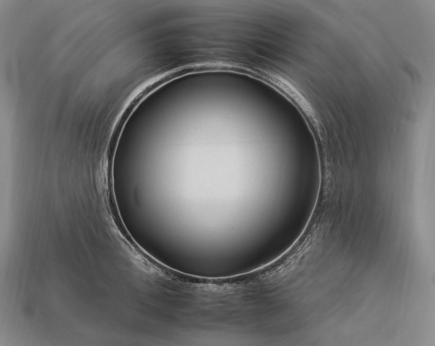 X0000112930996200909071029