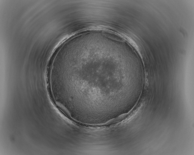 X0000112930997200909071029