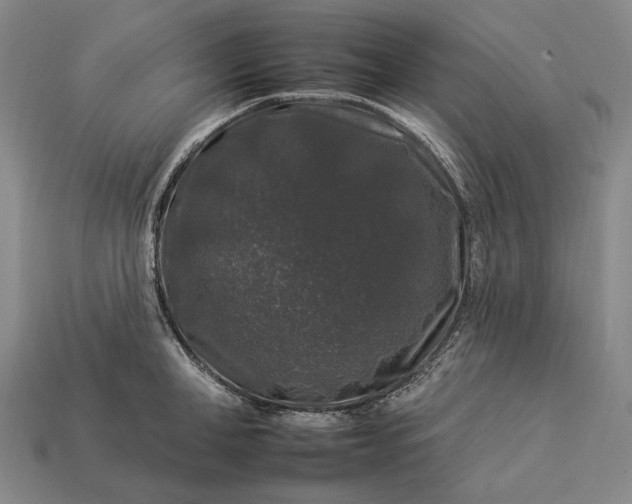 X0000112930998200909071029