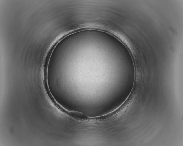 X0000112930999200909071029