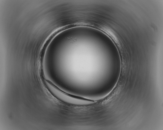 X0000112931000200909071029