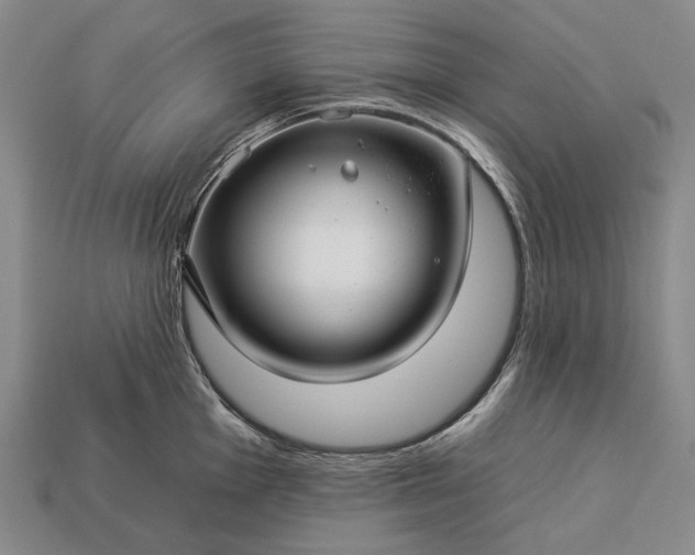 X0000112931001200909071029