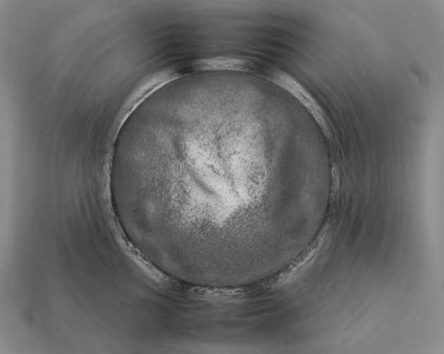 X0000112931002200909071029