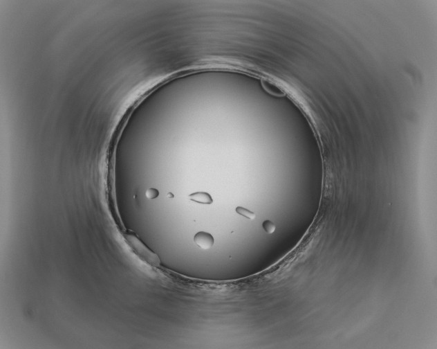 X0000112931003200909071029