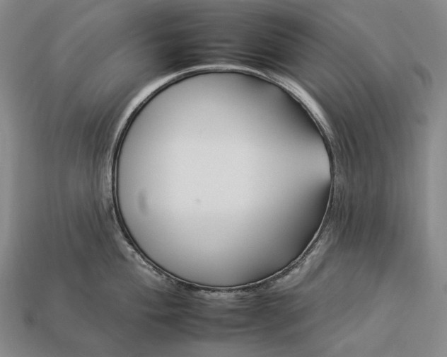 X0000112931004200909071029