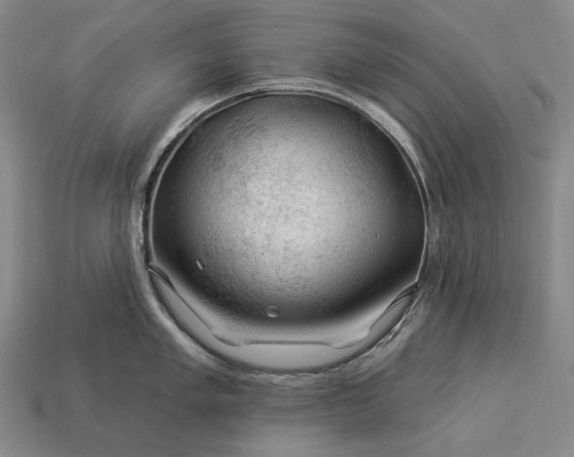 X0000112931005200909071029