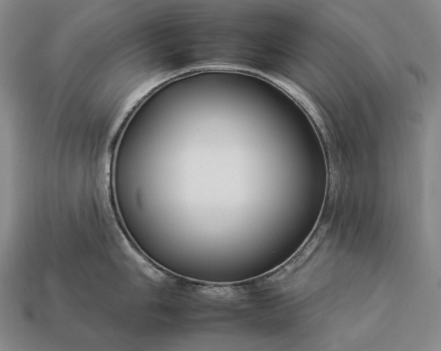 X0000112931006200909071029