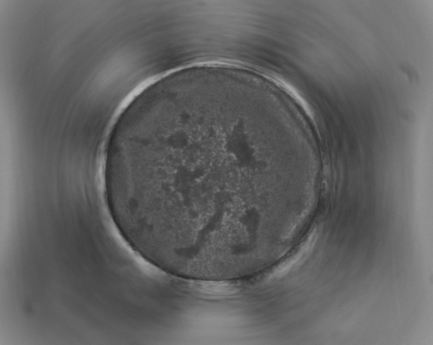 X0000112931007200909071029