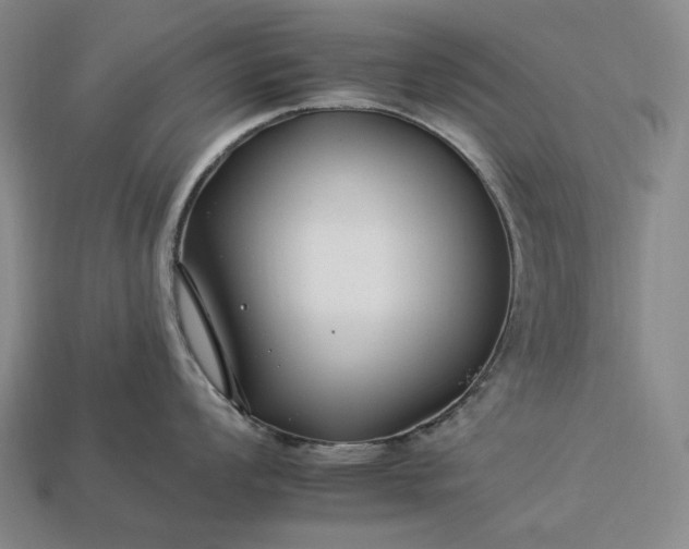 X0000112931008200909071029