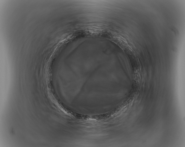 X0000112931009200909071028