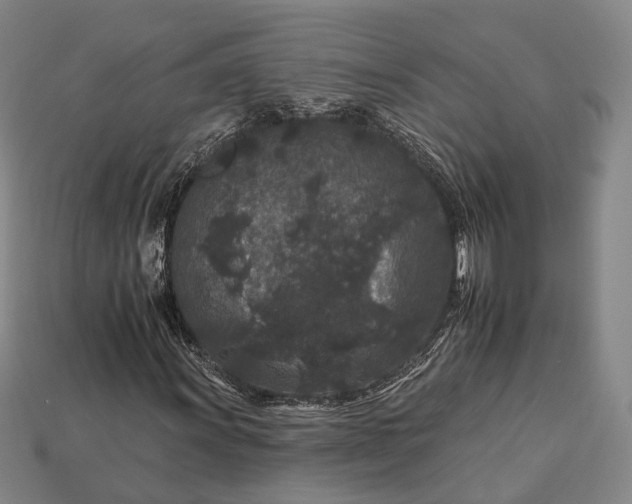 X0000112931011200909071029