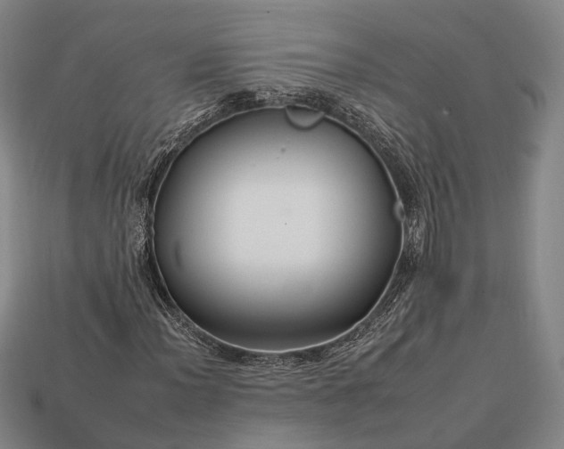 X0000112931012200909071029