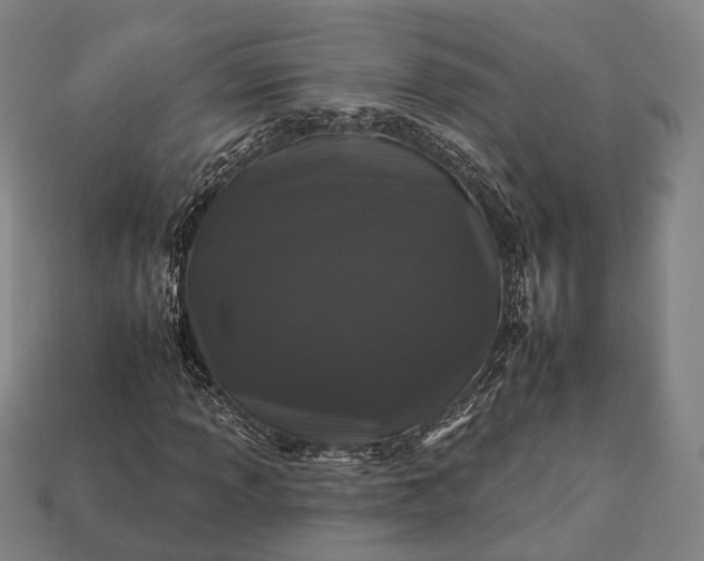 X0000112931013200909071029