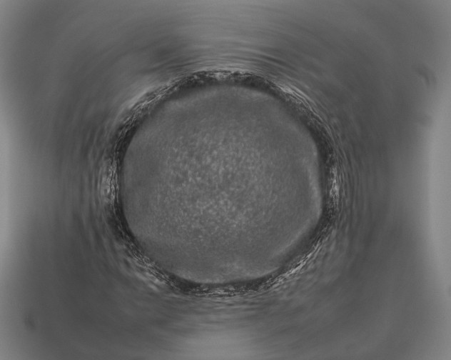 X0000112931014200909071029